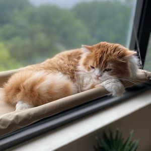 Meet your Posher, Rovena